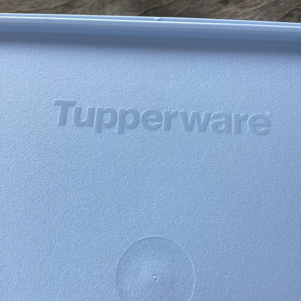 Tupperware Snack-Stor Large Container in Ice Cube color